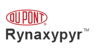 DuPont